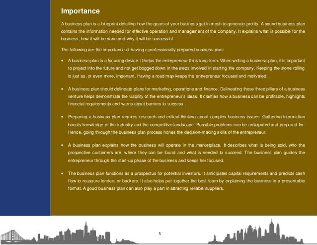 business plan template business plan examples